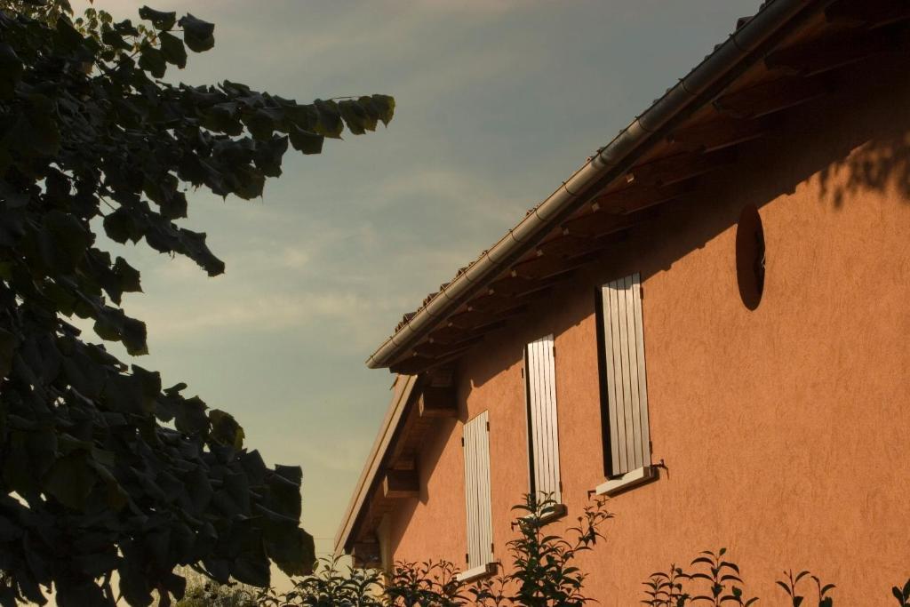 Country House Santa Maria Maddalena 布德里奥 外观 照片
